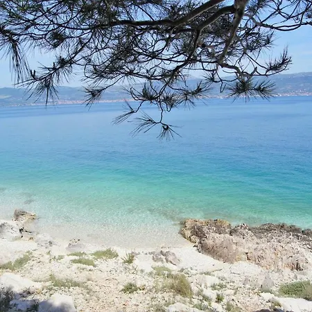 Mandaric Τρογκίρ