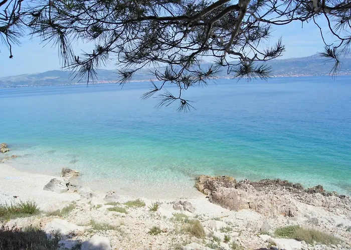Mandaric Trogir